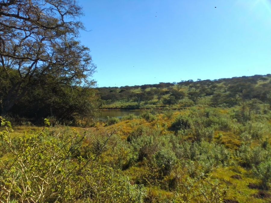 0 Bedroom Property for Sale in Stutterheim Rural Eastern Cape